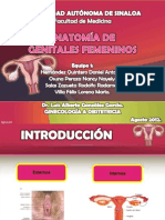 Anatomia de Genitales Femeninos 1