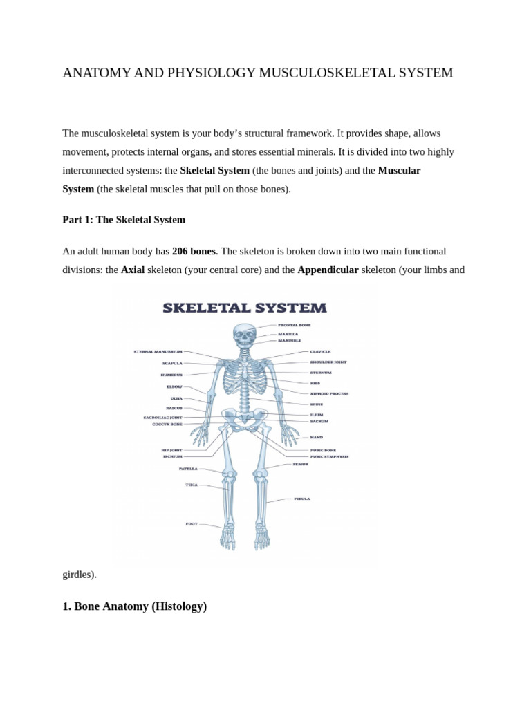 ANATOMY AND PHYSIOLOGY MUSCULOSKELETAL SYSTEM | PDF | Bone | Skeletal ...