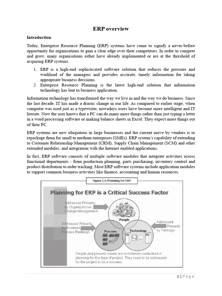 ERP Overview | PDF | Enterprise Resource Planning | Business