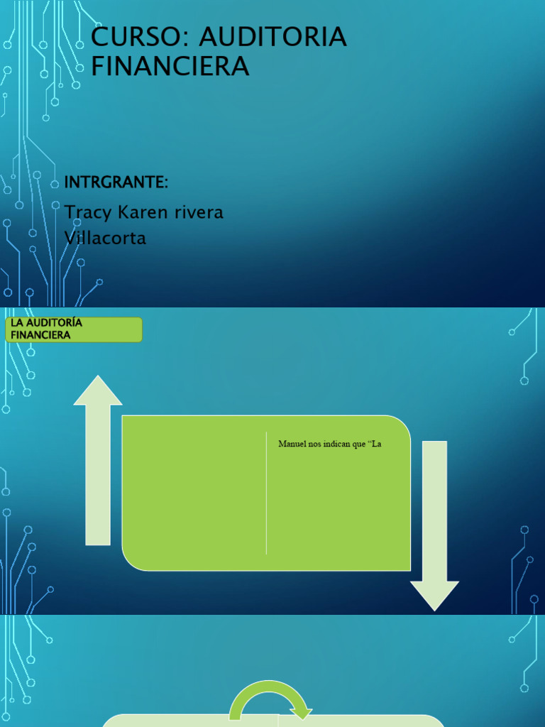 Auditoria Financiera Tracy Karen 11 | PDF