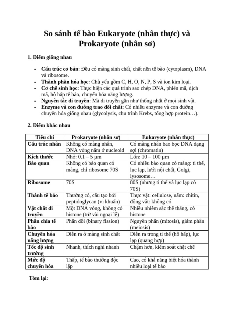 So Sánh Eukaryote Và Prokaryote | PDF