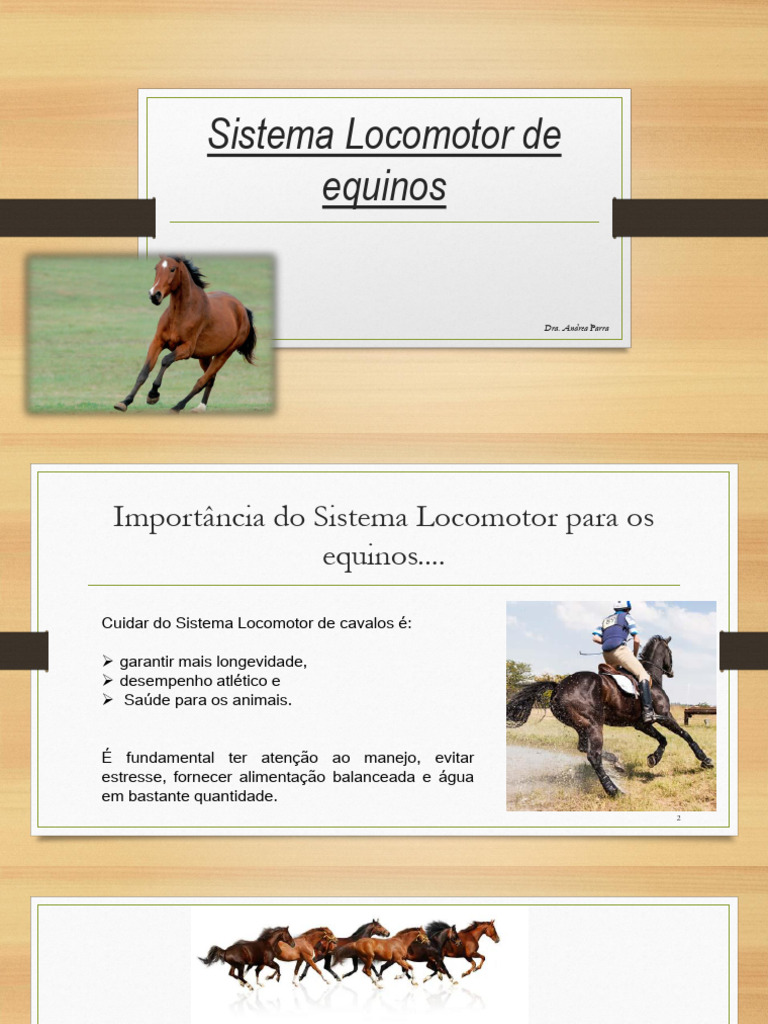 3. Sistema Locomotor de Equinos | PDF | Artrite | Músculo