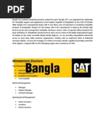 Assignment On BANGLACAT