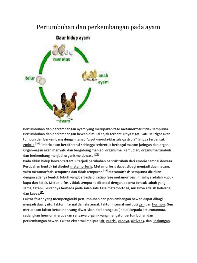 Pertumbuhan Dan Perkembangan Pada Ayam