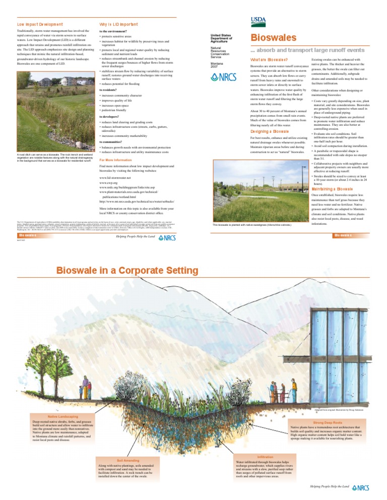 Bio Swale | PDF | Surface Runoff | Stormwater