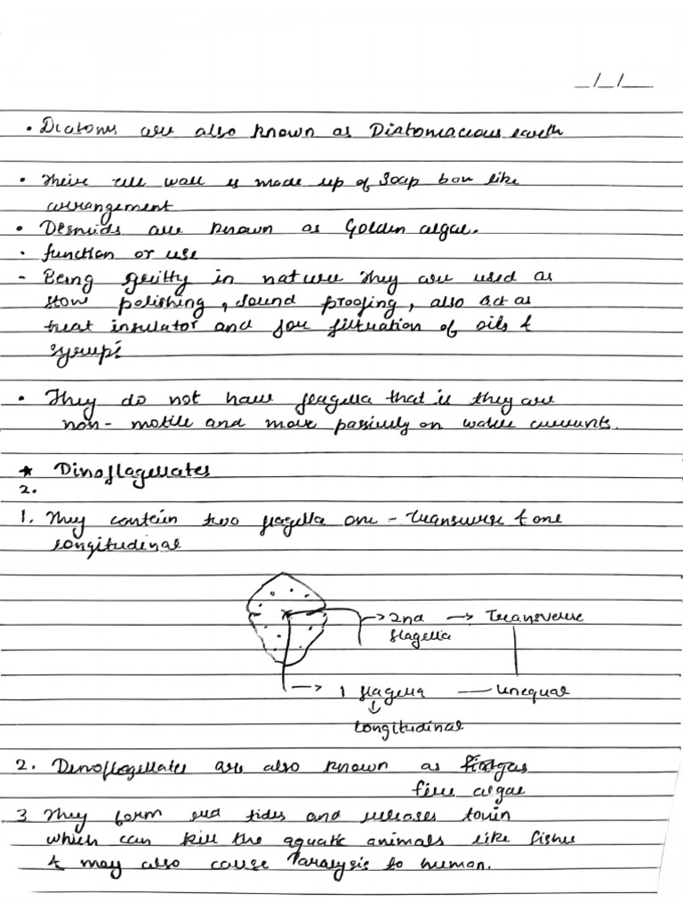 Class 11 CH 2 Science Handwritten Notes | PDF