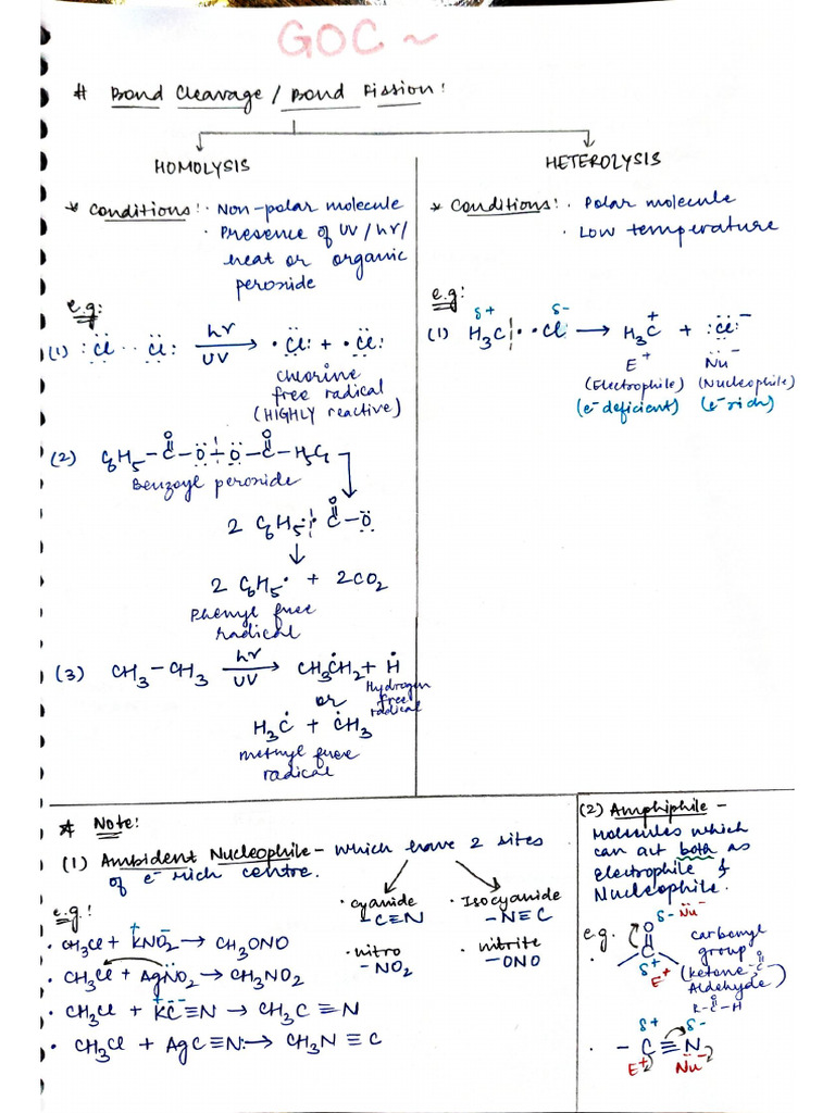 Document 33 (1) | PDF