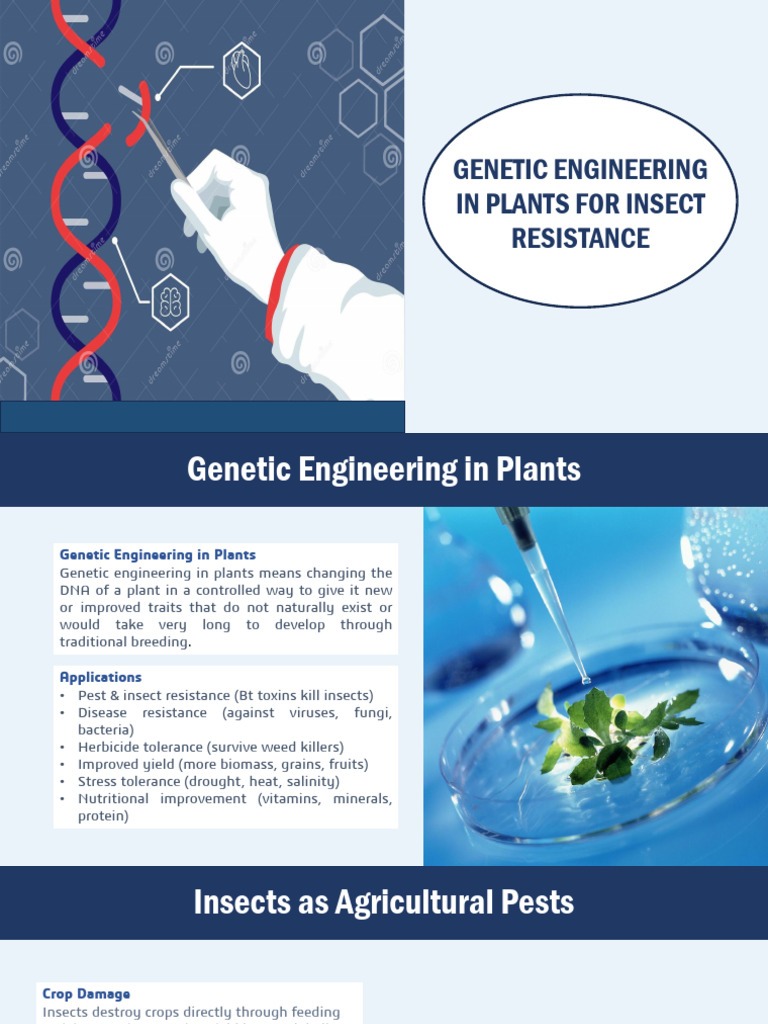 Genetic Engineering in Plants for Insect Resistance | PDF | Rna ...