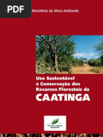 CAATINGA