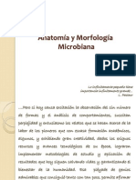 Clase 1. (1) Microbiologia