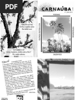 Carnaúba Zine