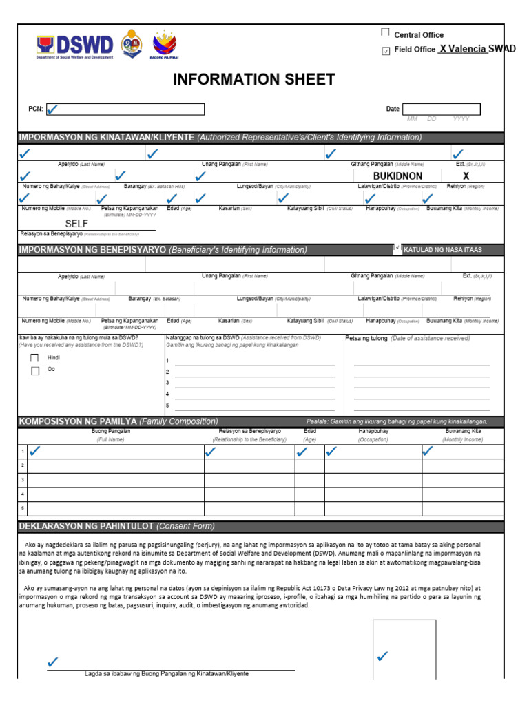 Reap Information Sheet | PDF