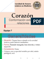 Corazón, Configuración Externa y Relaciones