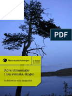 Stora utmaningar i den svenska skogen