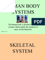 Human Body Systems: The Human Body Is Divided Into Many Systems Which Enable The Organism To Carry On Life Functions