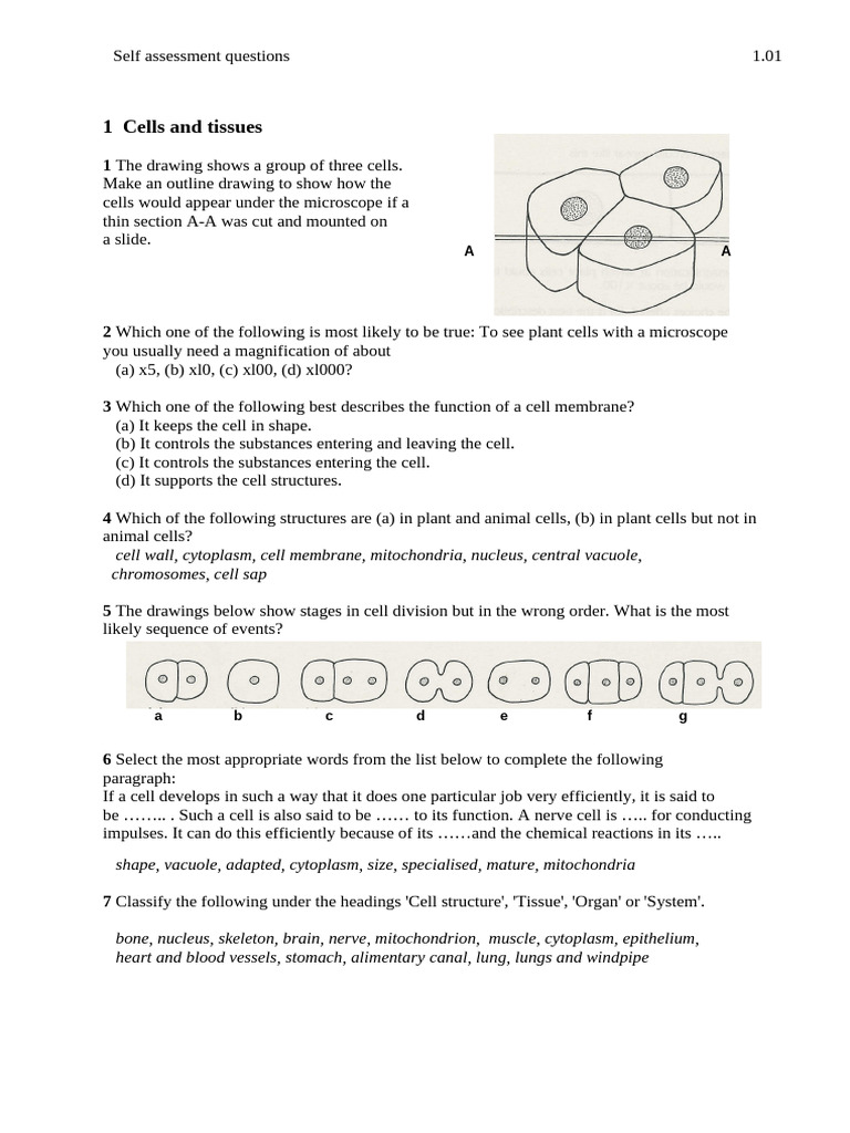 FORM 1 Cells Tissues Questions | PDF