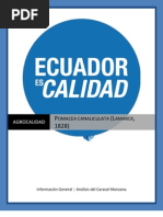 Download Caracol Manzana Pomacea Canaliculata Agrocalidad by Agrocalidadec Ecuador SN104176716 doc pdf