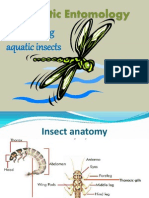 Aquatic Entomology