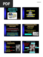 Abertura de Molares 2011