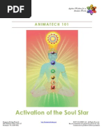 Download Activation of the Soul Star by Evelina Negara SN104236057 doc pdf