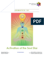 Activation of The Soul Star