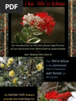 Download E Ku i Ka Ohia Lehua Culture significance of a dominant Hawaiian tree by Sam Ohu Gon III SN104237321 doc pdf