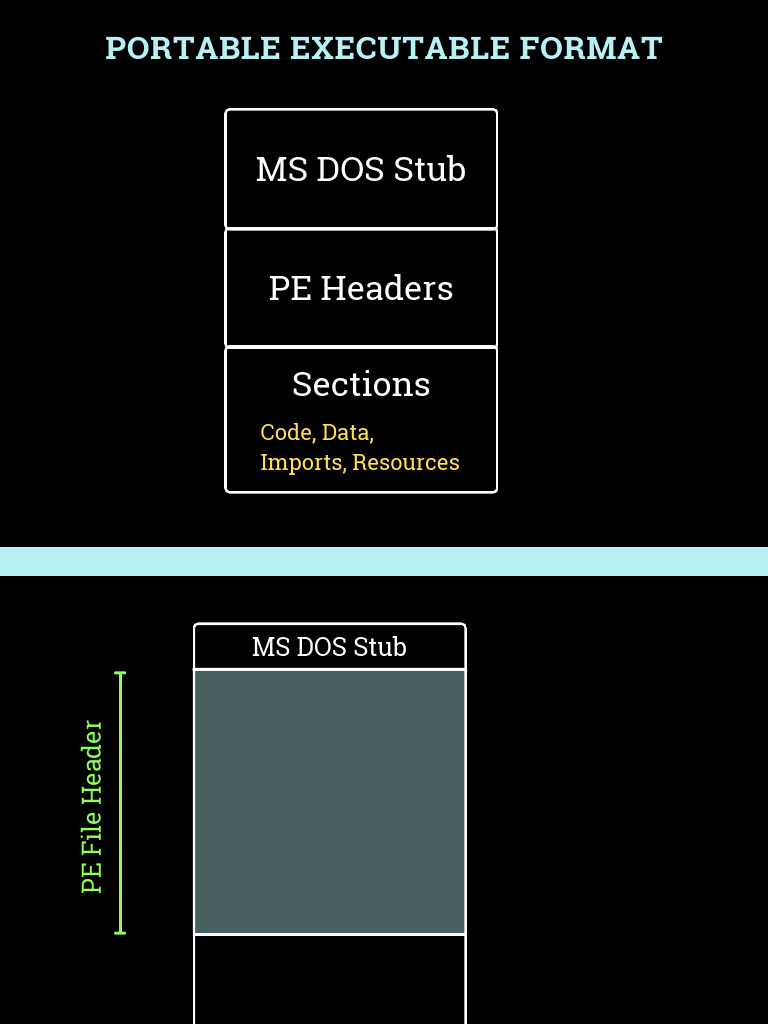 Portable+Executable+Format Basics | PDF | Software | Ibm Pc Compatibles