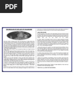 Download Novena Prayer to Our Lady of Vailankanni by josephabram051590 SN104278584 doc pdf