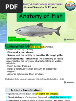 Fish Skeletal System Recognition Guide | PDF | Skeleton | Bone