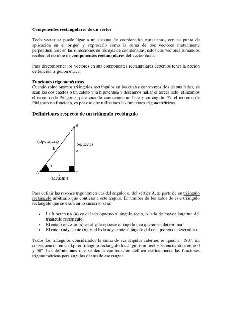 Componentes Rectangulares de Un Vector | PDF | Triángulo | Aceleración