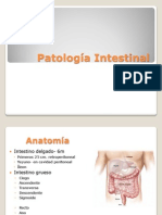 Patología de Intestino