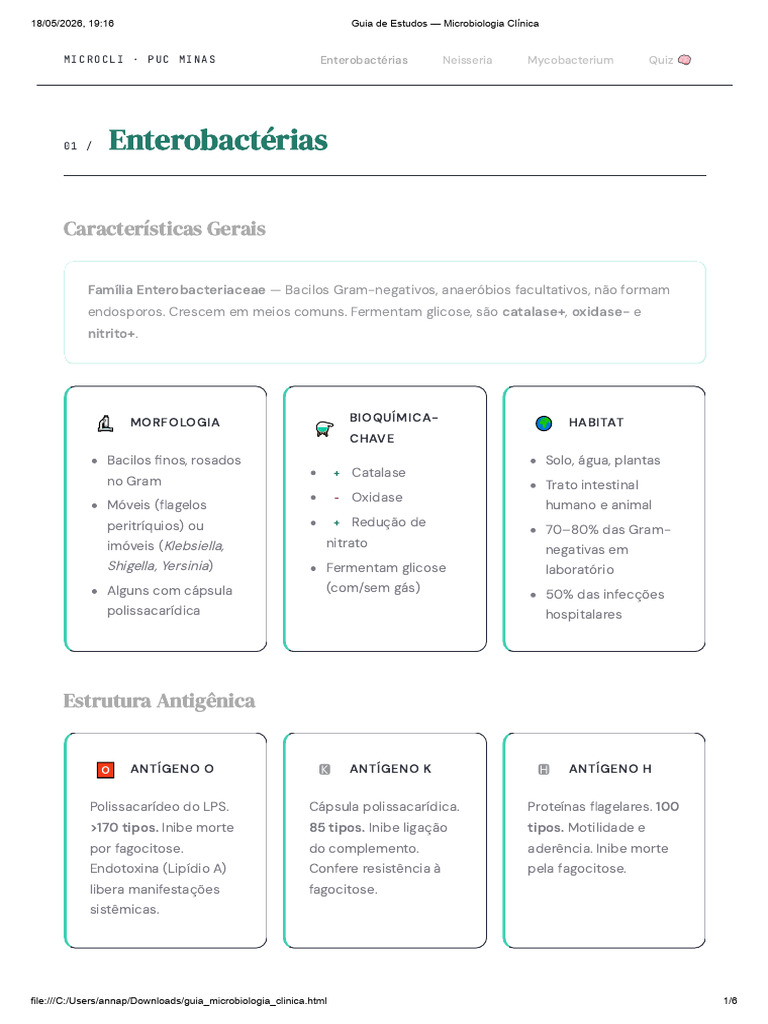 Enterobac | PDF | Escherichia Coli | Biologia