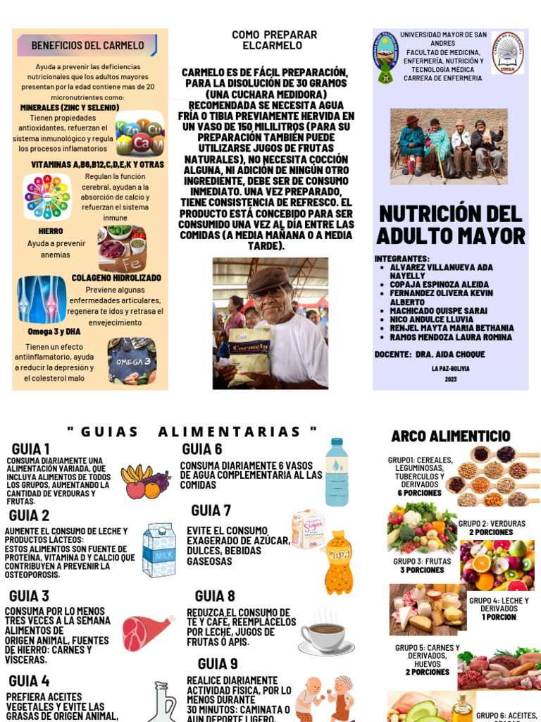 Nutrición Del Adulto Mayor Triptico | PDF | Alimentos | Leche