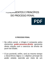 Princípios Do Processo Penal