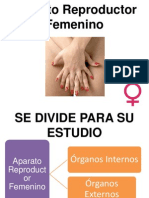 Aparato Reproductor Femenino