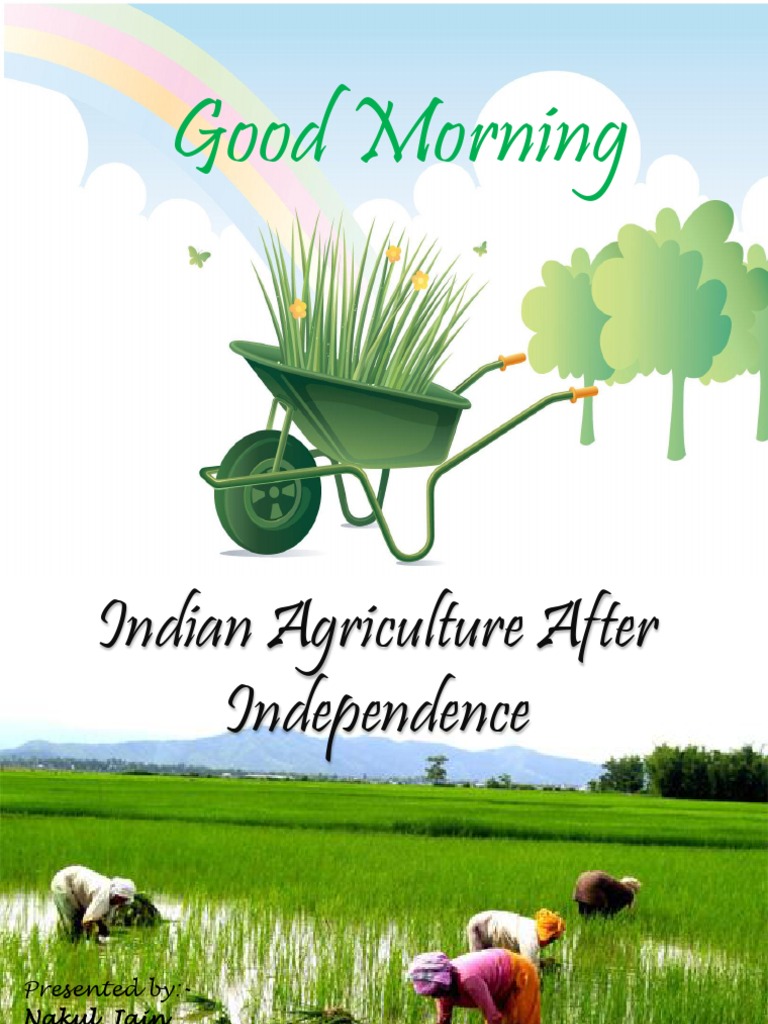 essay on indian agriculture in post independence era