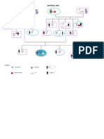 Genogram (Or)