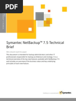Download NETBACKUP White Paper by Miceasnagov SN104409968 doc pdf