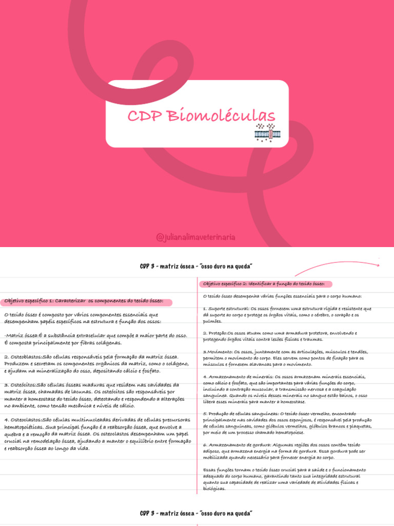 3 CDP - Osso | PDF | Osso | Corpo humano