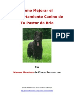 Cómo Mejorar El Comportamiento Canino de Tu Pastor de Brie