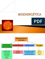 Bio Energetic a 2