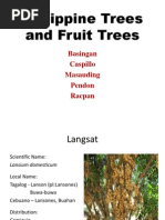 Salita vs calleja digest essay 08 picture