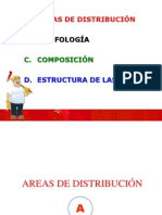 YACIMIENTOS - AREAS DE DISTRIBUCIÓN - Morfologia - Composicion - Estructuras de Las Menas.