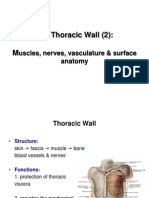 Thoracic Wall 2 Muscles Arteries Veins Nerves E-learning#2