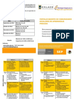 1 Diptico Diplomado PROCEDA 2012