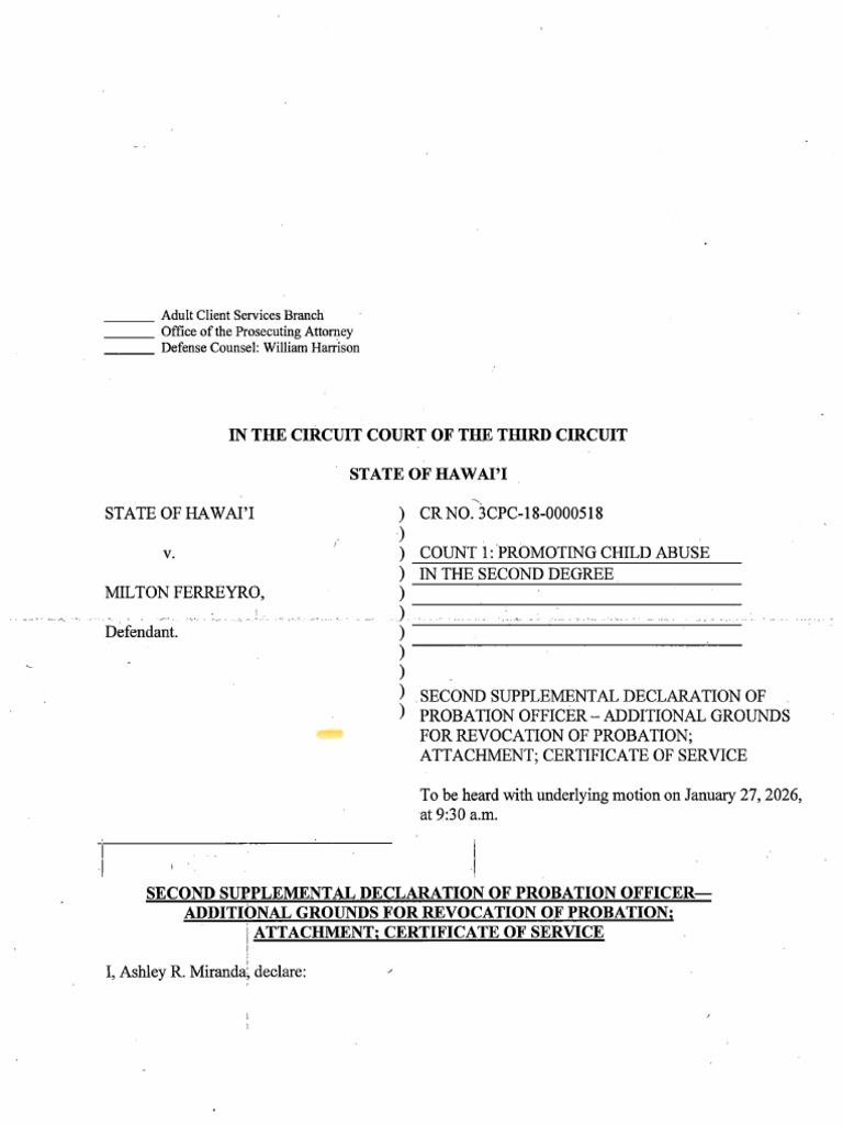 249-Declaration of Probation Officer | PDF