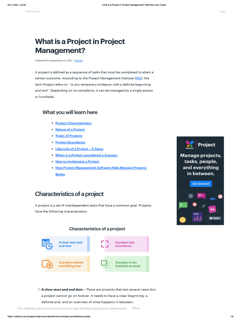 What Is A Project in Project Management - Definition and Types | PDF