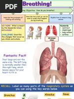 Bell Jar Model of Breathing Mechanics | PDF | Breathing | Lung