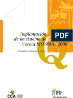 44482818 Implantacion de Un Sistema de Calidad Norma ISO 9001 2000