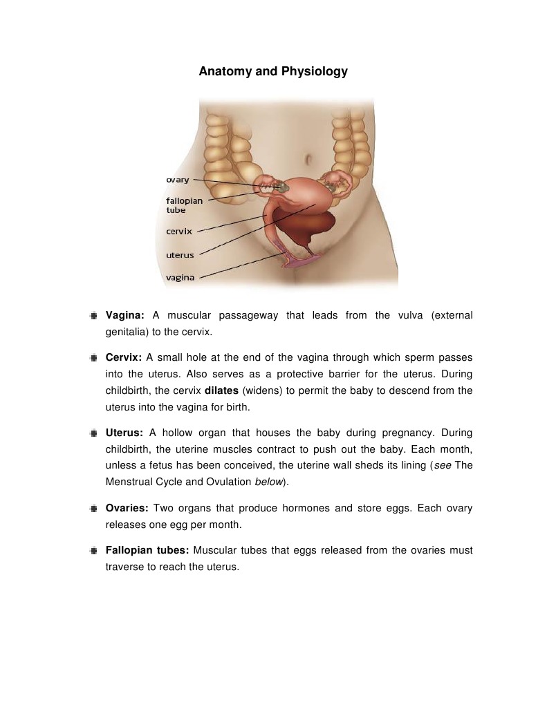Anatomy and Physio | Uterus | Pregnancy